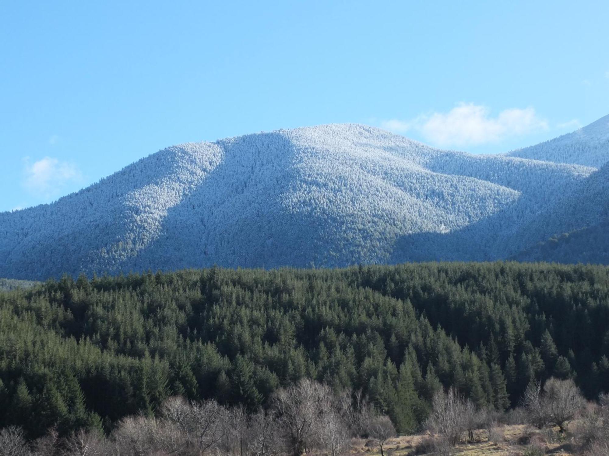 Pirin Heights A-21 Близо До Ски Пистата Bansko Dış mekan fotoğraf